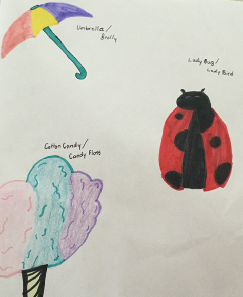 Child's drawing showing different words for the same things in the UK and USA - brolly and umbrella, ladybird and ladybug, candyfloss and cotton candy.