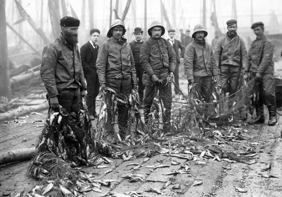 A black and white photo of several fisherman who have caught hundreds of fish in nets are standing on a wooden decking. They are proudly showing off their catch to the camera. Each fisherman is wearing their fisherman gear: an outer coat which is dark grey with dark grey waterproof trouser and then black shoes. There are a few onlookers including two wearing an all-black suit with black shoes and another is wearing a dark brown suit. Others are present but are heavily blurred. 