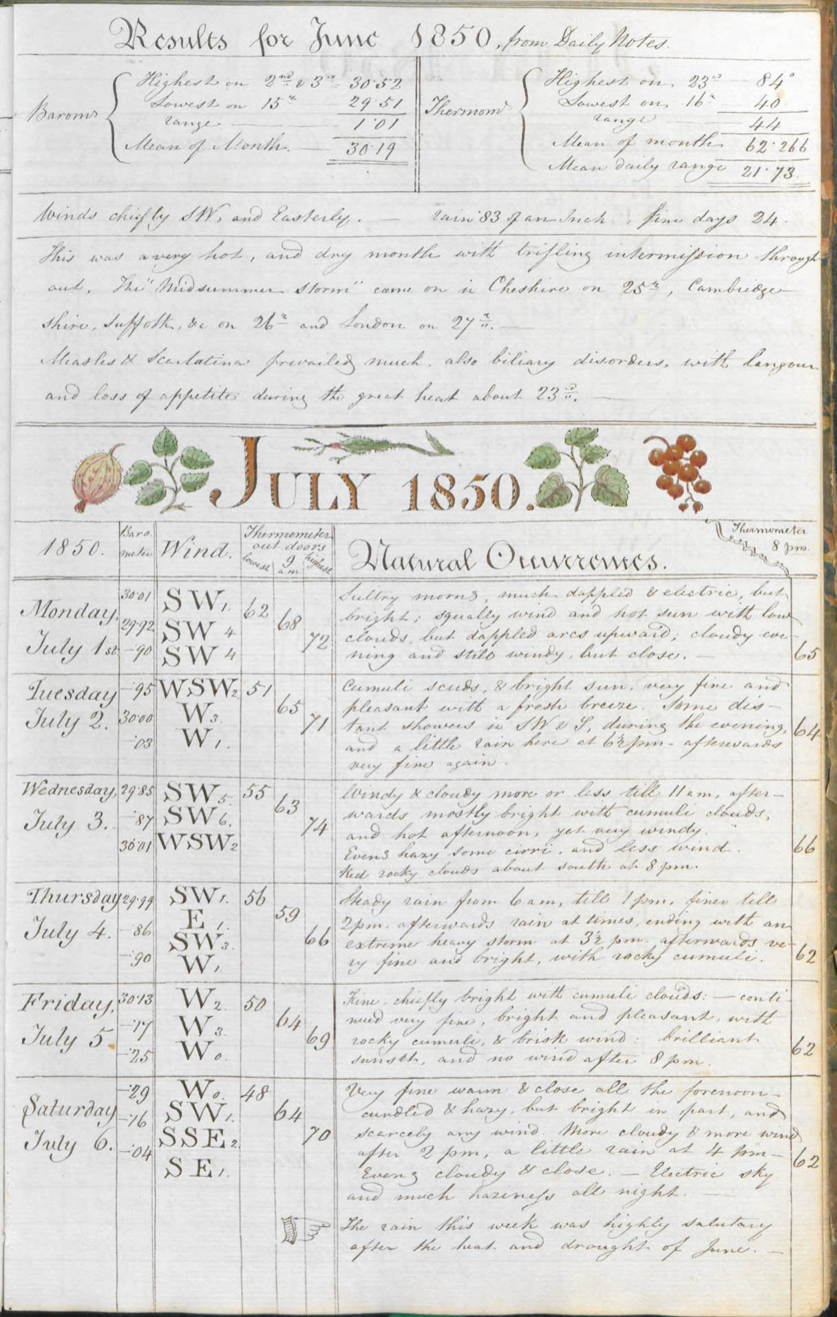 Colour image of a handwritten journal. At the top of the page is “Results for June 1850 from daily notes” then some notes. Beneath that is a Bold decorated title “July 1850” decorated with watercolour sketches of leaves, a gooseberry and a bunch of red currants. This is followed by ruled column and rows recording the weather from Monday July 1st to Saturday July 6th one day per row.